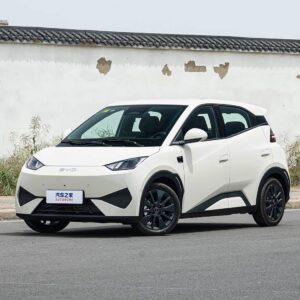 BYD Seagull 2026MY