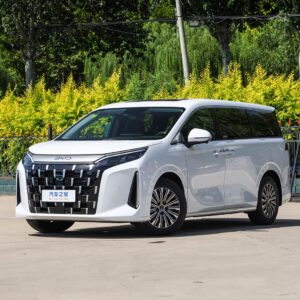 BYD M9 2025MY
