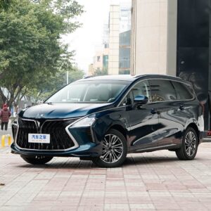 Dongfeng Forthing 4 U-Tour 2024MY