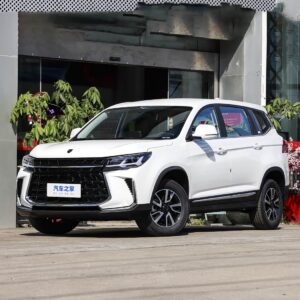 Dongfeng Forthing T5 2024MY